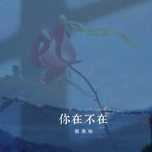 国产乱人伦精品视频
