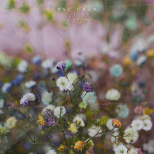 国产乱人伦精品视频
